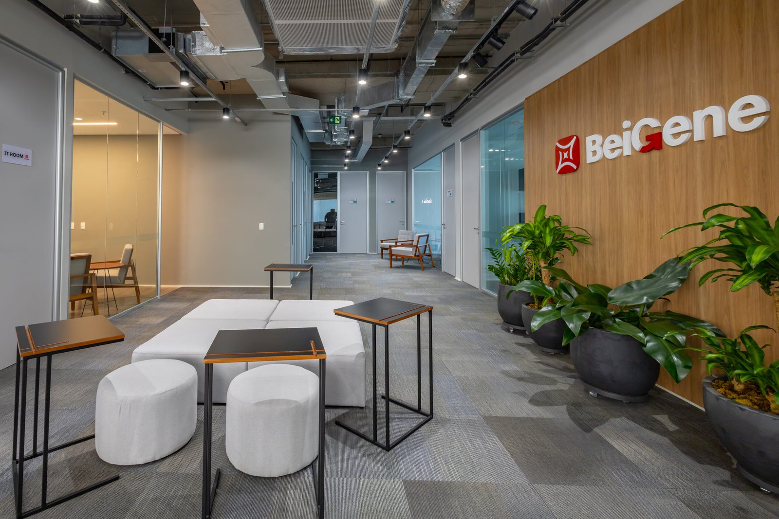 Escritório da São Carlos Beigene em São Paulo, projeto de arquitetura corporativa da Proh